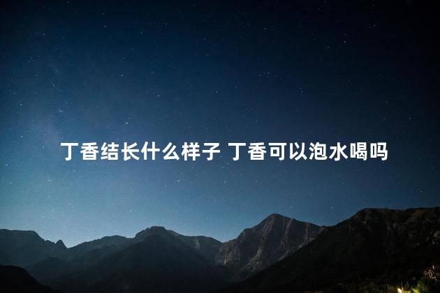 丁香结长什么样子 丁香可以泡水喝吗